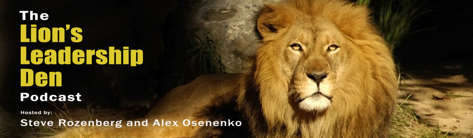 Lions Leadership Den Podcast
